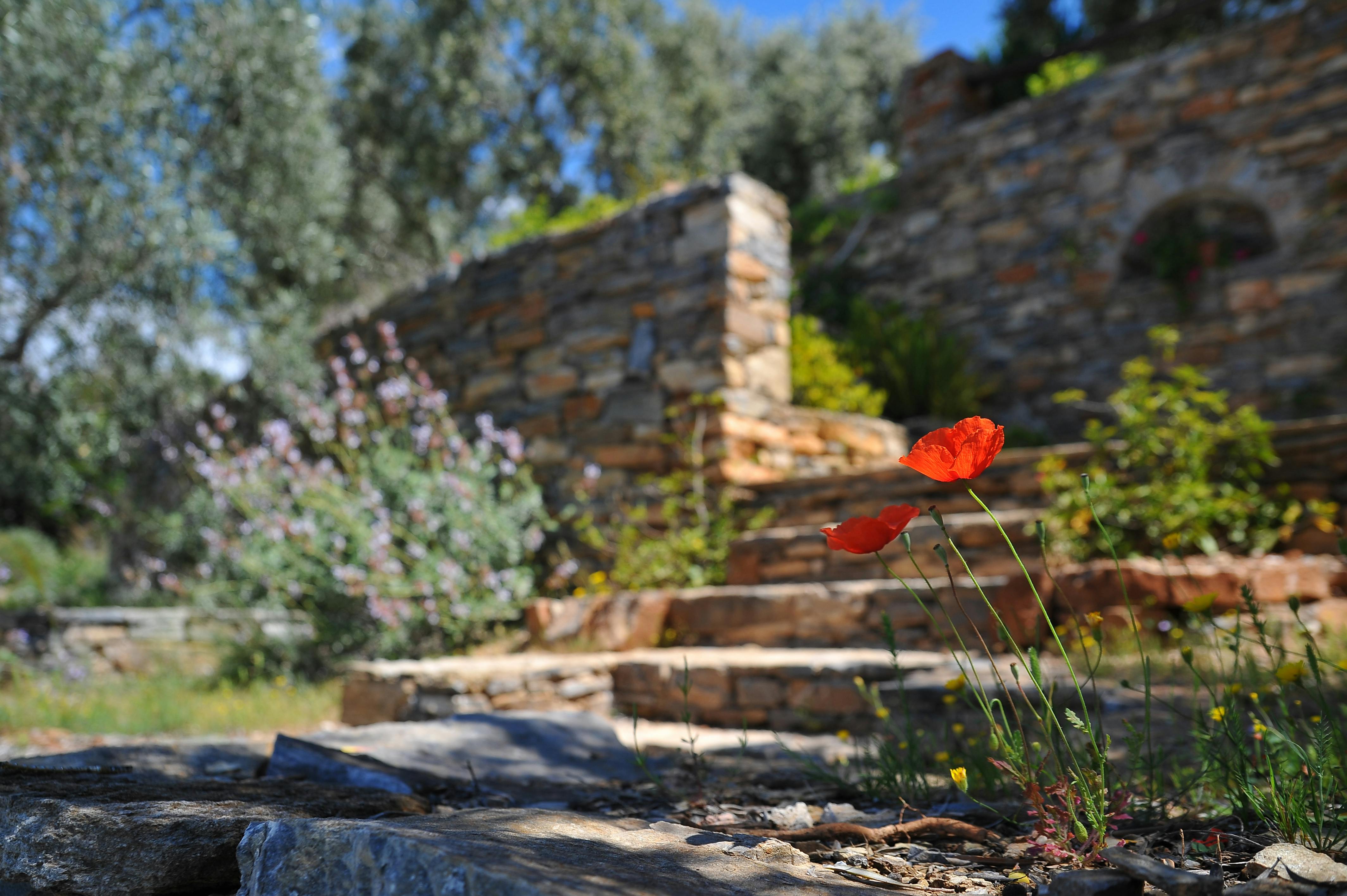 garden-care-main-banner2